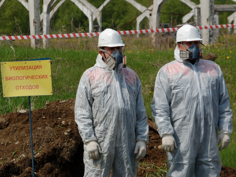 Утилизация трупов животных (сжигание) в г. Истра Московской области