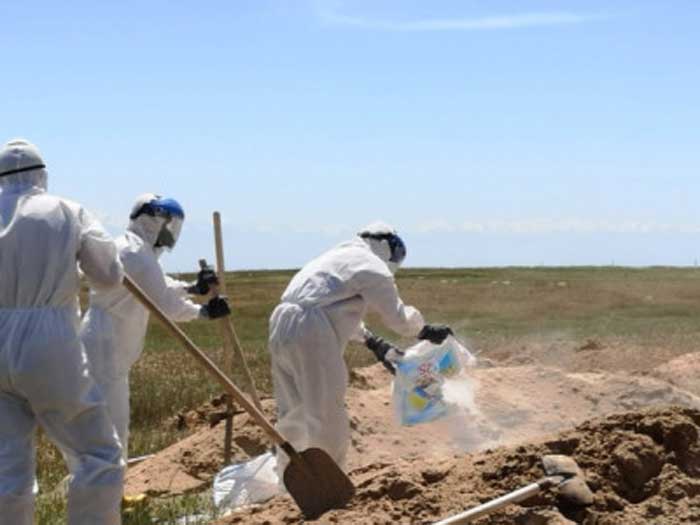 Служба по вывозу трупов животных г. Истра Московской области