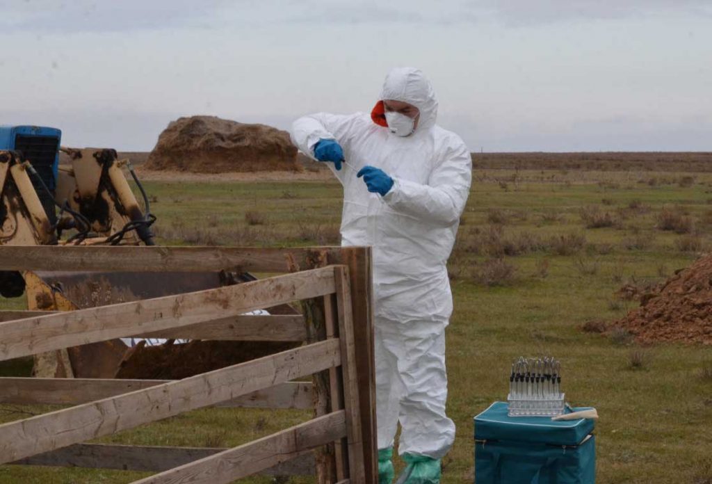 Вывоз труп животного в морг в г. Истра  Московской области