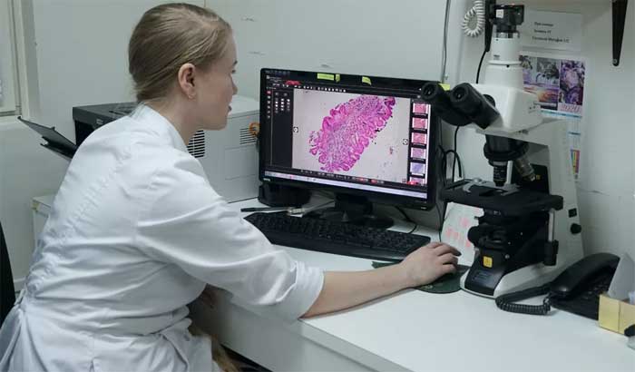 Патологоанатомическое вскрытие животного (собаки, кошки, кролика) в г. Истра Московской области