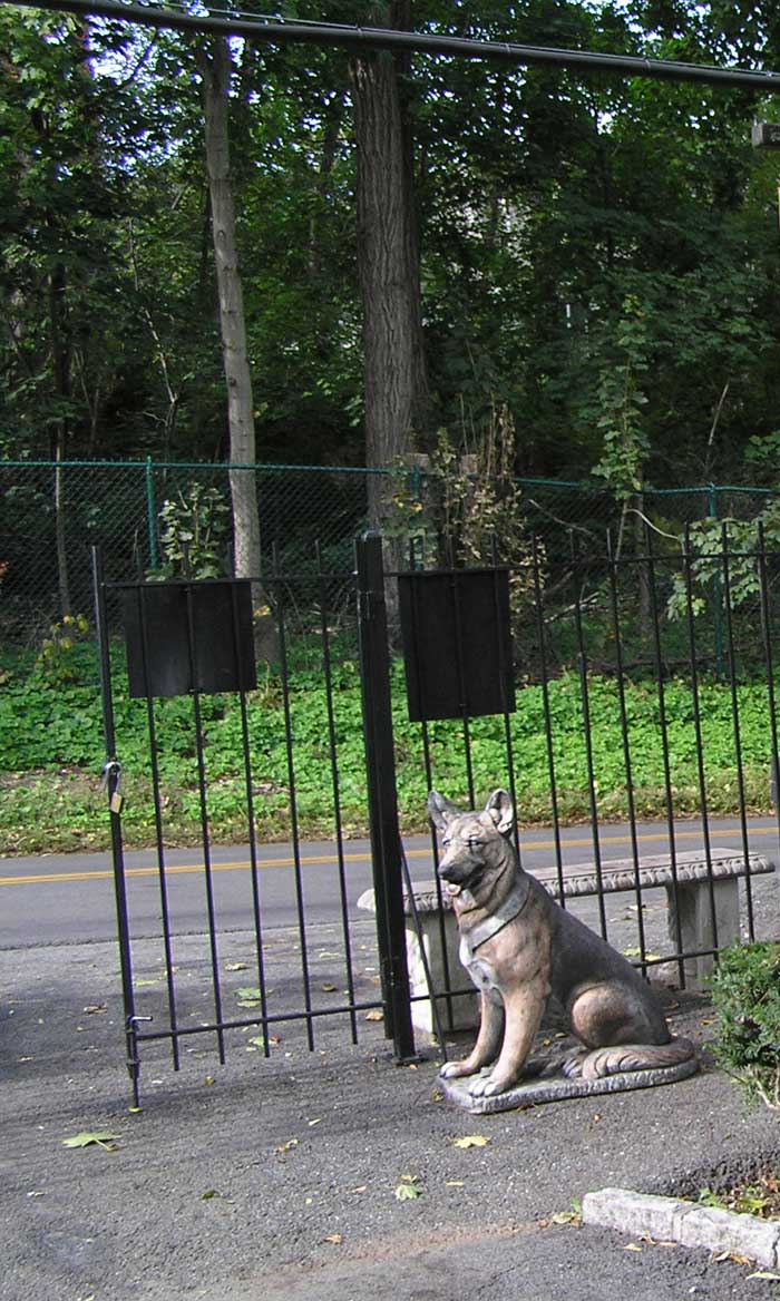Захоронения животных (собаки, кошкам) в г. Истра Московской области